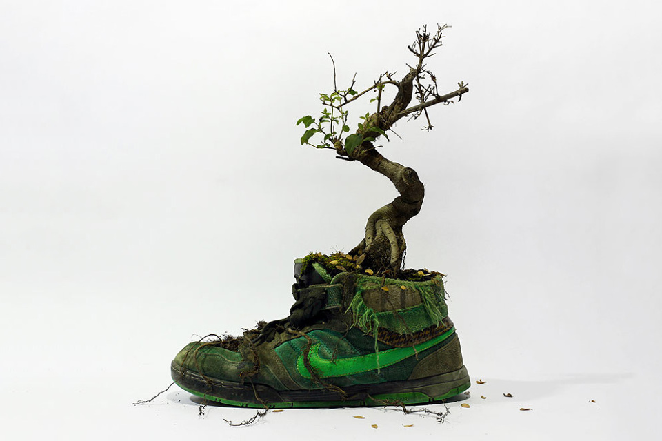 nike-sneaker-flowers-just-grow-it-mr-plant-08-960x640