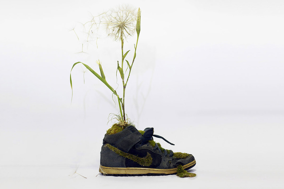 nike-sneaker-flowers-just-grow-it-mr-plant-10-960x640